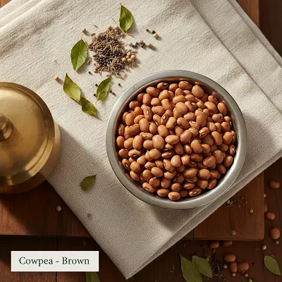 Brown Cowpea