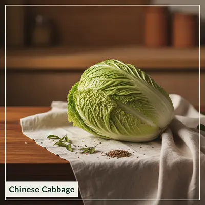 Chinese Cabbage