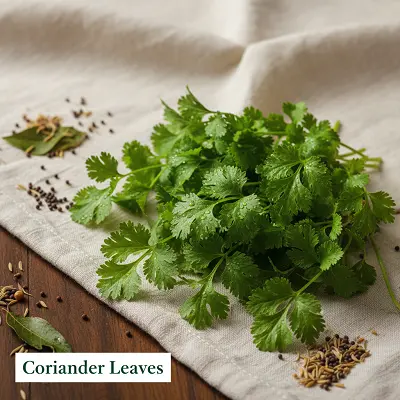 Coriander Leaves