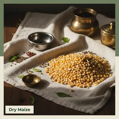 Dry Maize