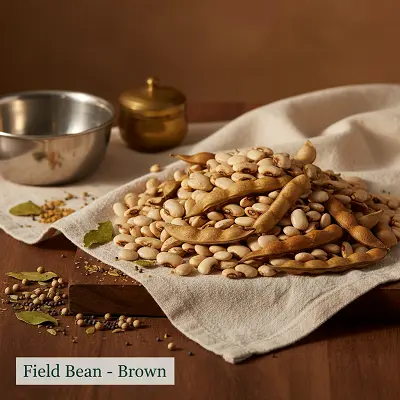Field Bean - Brown