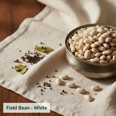 Field Bean - White